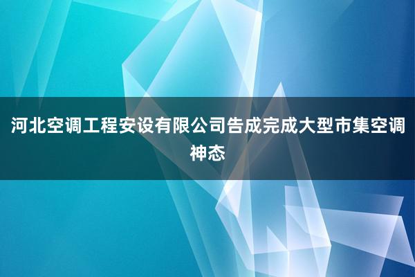 河北空调工程安设有限公司告成完成大型市集空调神态